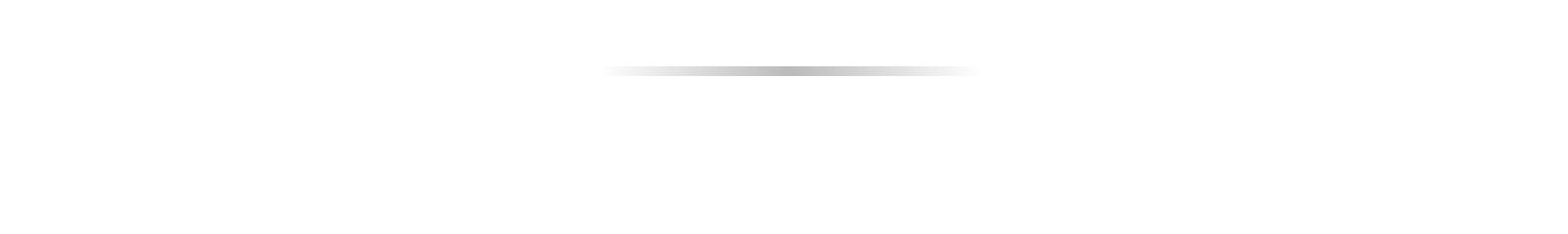Essay